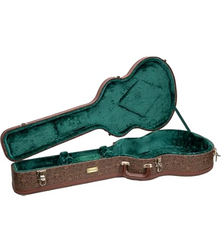 Epiphone Les Paul Standard Pro ★ ケース付属 Epiphone Case for Epiphone Les Paul Standard and Custom Case